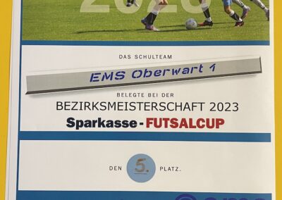 Schülerliga Bezirksfinale