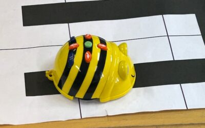 BeeBot goes VS